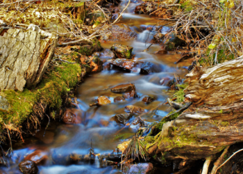 Park Krajobrazowy Wzniesień Łódzkich: Przyrodniczy skarb w Łódzkiem