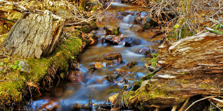 Park Krajobrazowy Wzniesień Łódzkich: Przyrodniczy skarb w Łódzkiem